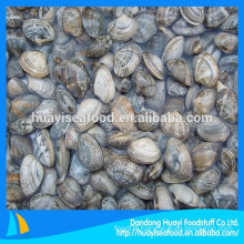 our company seafood product best at frozen short necked clam